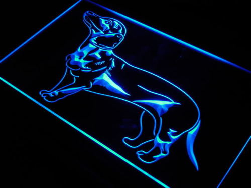 Dachshund Dog Pet Shop Display Neon Light Sign